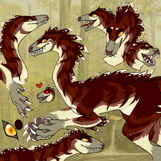 id: several mixed media drawings of Bee the coelophysis. it has a genetic mutation that gives it fuller and longer feathers than usual. its feathers are striped maroon, with a light tan underside. its scales are grey, and its eyes are orange /end id